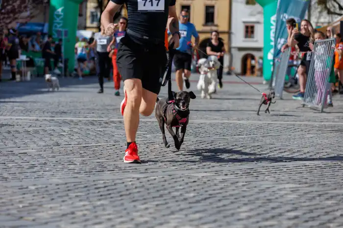 131775665613avtor-Jani-Brajkovič JB_M2970.webp-nm-tek.si